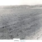 Lato 1984 - przygotowanie pola pod winnicę